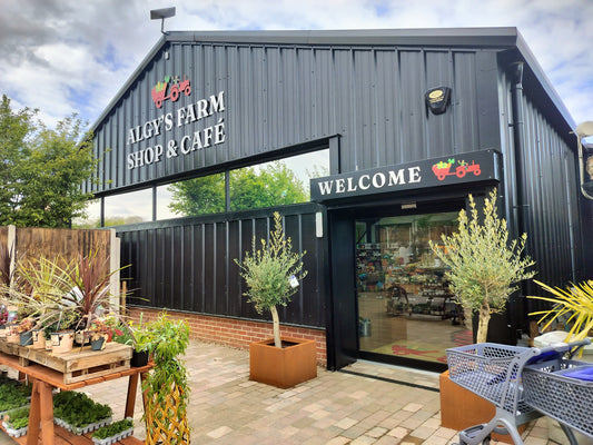 Paolo's Liqueurs: Norfolk Limoncello Now Available at Algy's Farm Shop